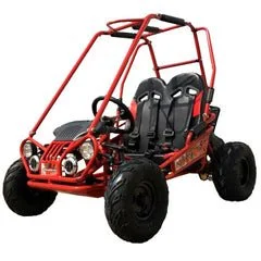 TrailMaster 163cc 2-Seater Mini Go Kart, Blue