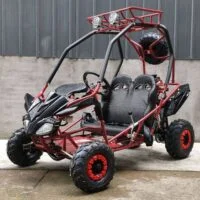 DongFang 125cc Kids Go Kart - Image 3