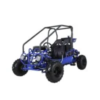 Taotao Kids Gas Go Kart Dune Buggy - Image 4