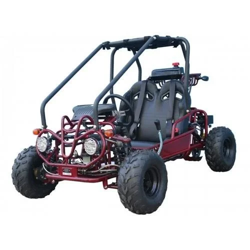 Taotao Kids Gas Go Kart Dune Buggy - Image 2