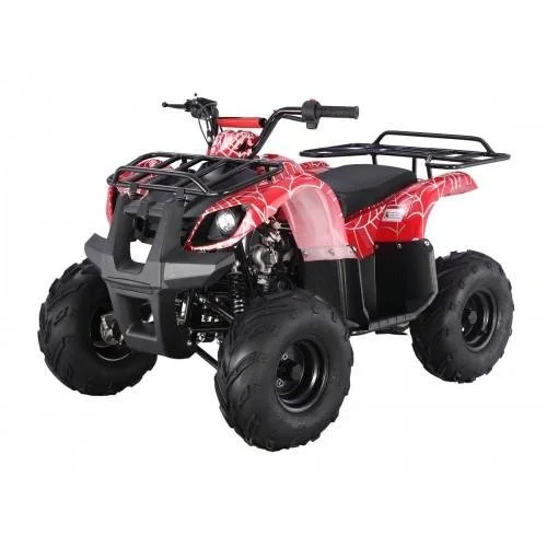 TAO Motor 125cc Kids ATV